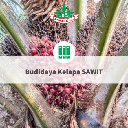 Cara Budidaya Kelapa Sawit Cara Budidaya Kelapa Sawit