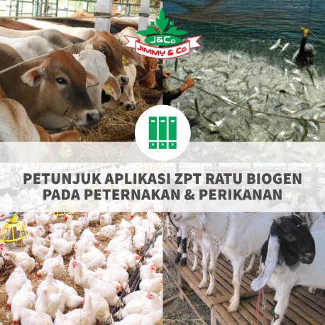 Petunjuk Aplikasi ZPT Ratu Biogen Pada Peternakan & Perikanan Petunjuk Aplikasi ZPT Ratu Biogen Pada Peternakan & Perikanan