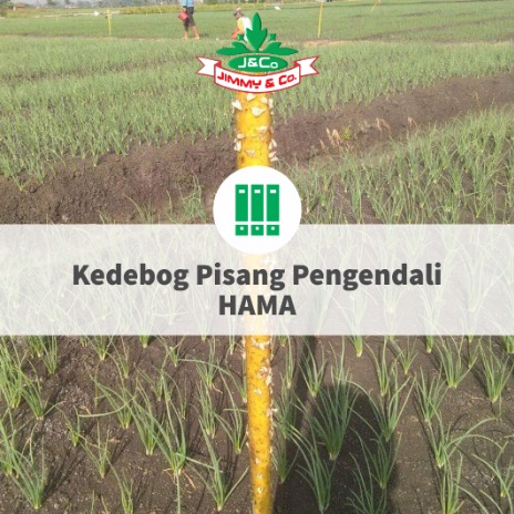 Kedebog Pisang Pengendali Hama Kedebog Pisang Pengendali Hama