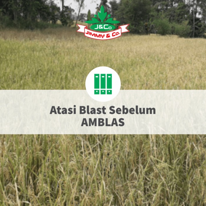 Atasi Blast Sebelum Amblas Atasi Blast Sebelum Amblas