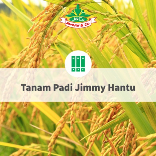 Tanam Padi Jimmy Hantu Tanam Padi Jimmy Hantu