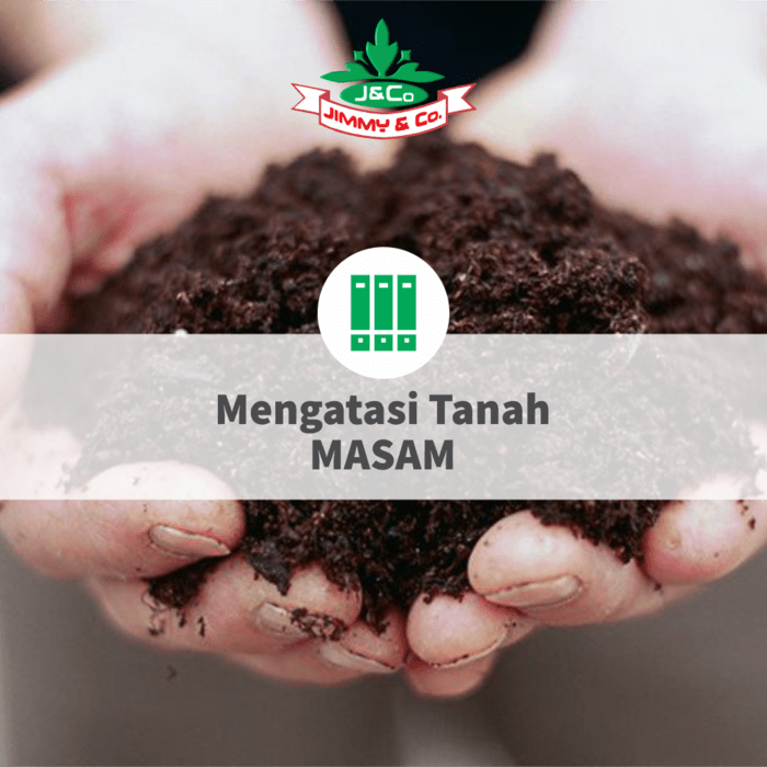 Mengatasi Tanah Masam Mengatasi Tanah Masam