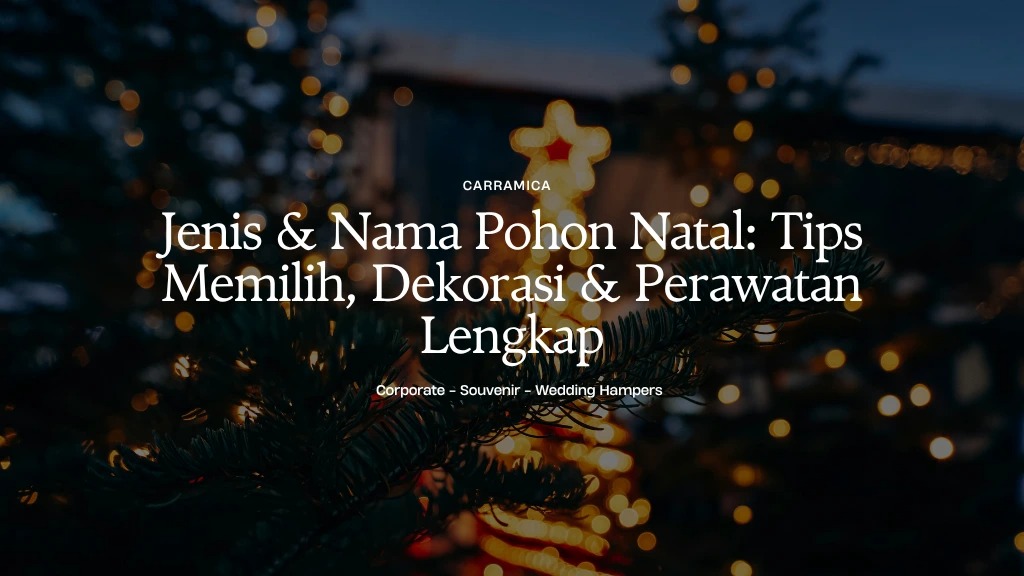 Jenis & Nama Pohon Natal: Tips Memilih, Dekorasi & Perawatan Lengkap Jenis & Nama Pohon Natal: Tips Memilih, Dekorasi & Perawatan Lengkap