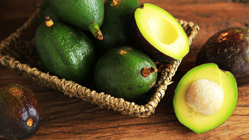 6 Cara Mudah Budidaya Alpukat Mentega Agar Tumbuh Optimal dan Cepat Berbuah 6 Cara Mudah Budidaya Alpukat Mentega Agar Tumbuh Optimal dan Cepat Berbuah
