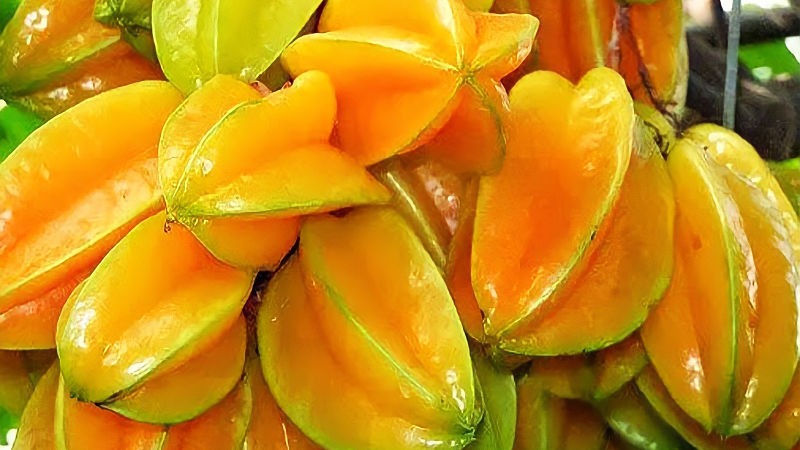 Tips dan Trik Budidaya Belimbing Madu Agar Tumbuh Sehat dan Berbuah Lebat Tips dan Trik Budidaya Belimbing Madu Agar Tumbuh Sehat dan Berbuah Lebat
