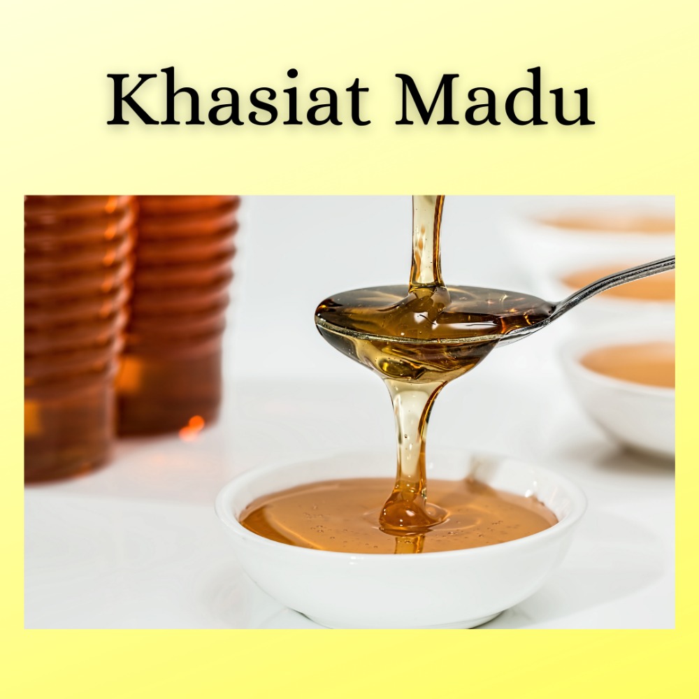 MENGENAL KHASIAT MADU MENGENAL KHASIAT MADU