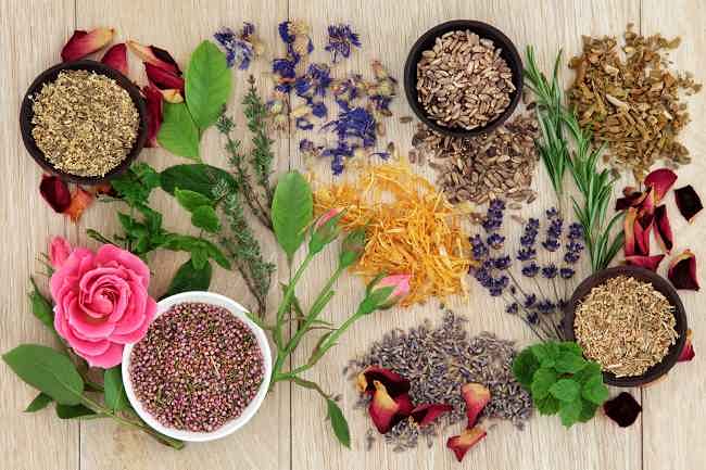 JANGAN SEMBARANG MENGKONSUMSI HERBAL JANGAN SEMBARANG MENGKONSUMSI HERBAL