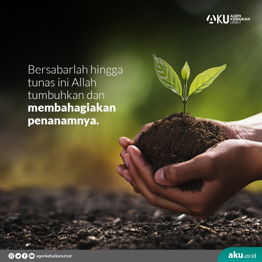 Bersabarlah hingga tunas ini Allah tumbuhkan dan membahagiakan penanamnya.