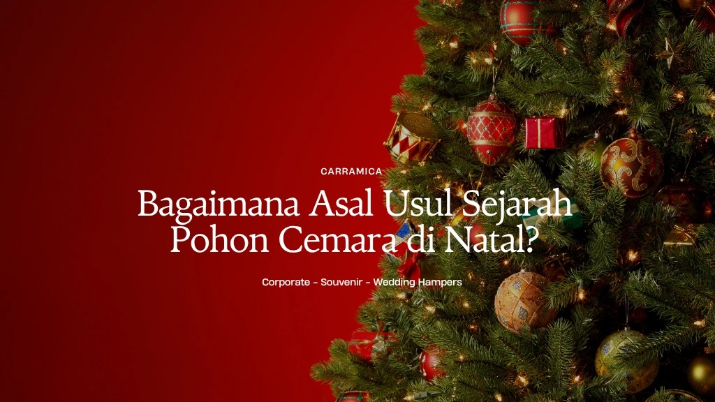 asal usul sejarah pohon cemara di natal