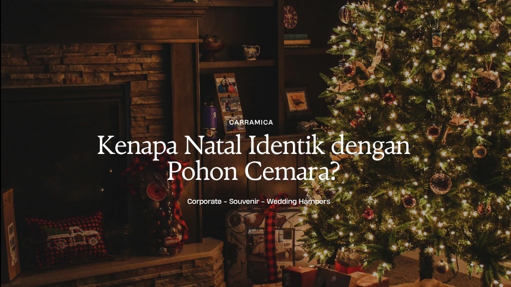 5 Alasan Kenapa Natal Identik dengan Pohon Cemara