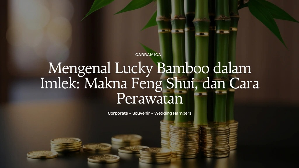 Mengenal Lucky Bamboo dalam Imlek: Makna Feng Shui, dan Cara Perawatan