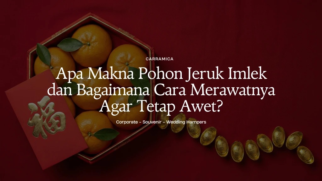 Apa Makna Pohon Jeruk Imlek dan Bagaimana Cara Merawatnya Agar Tetap Awet?