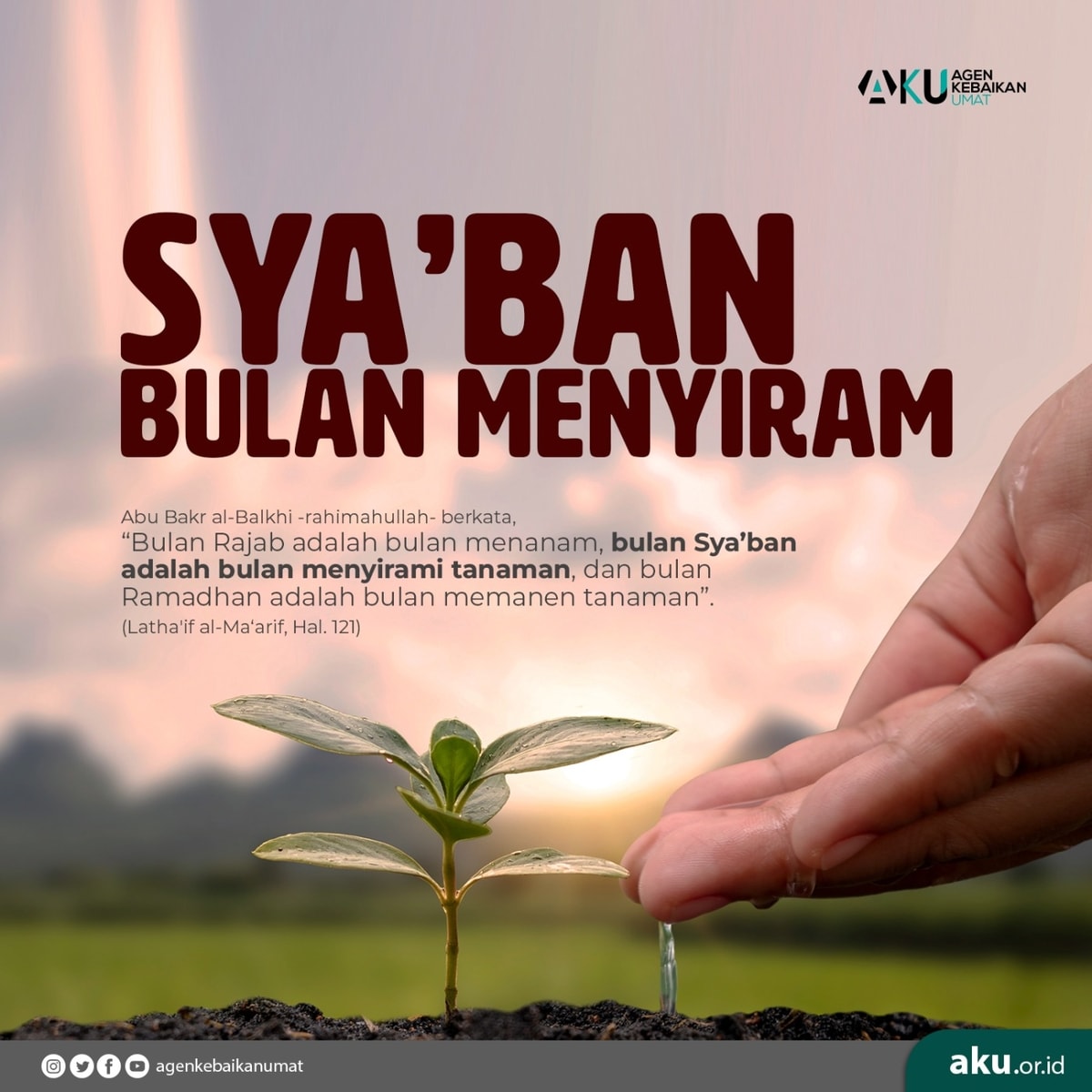 Syaban Bulan Menanam