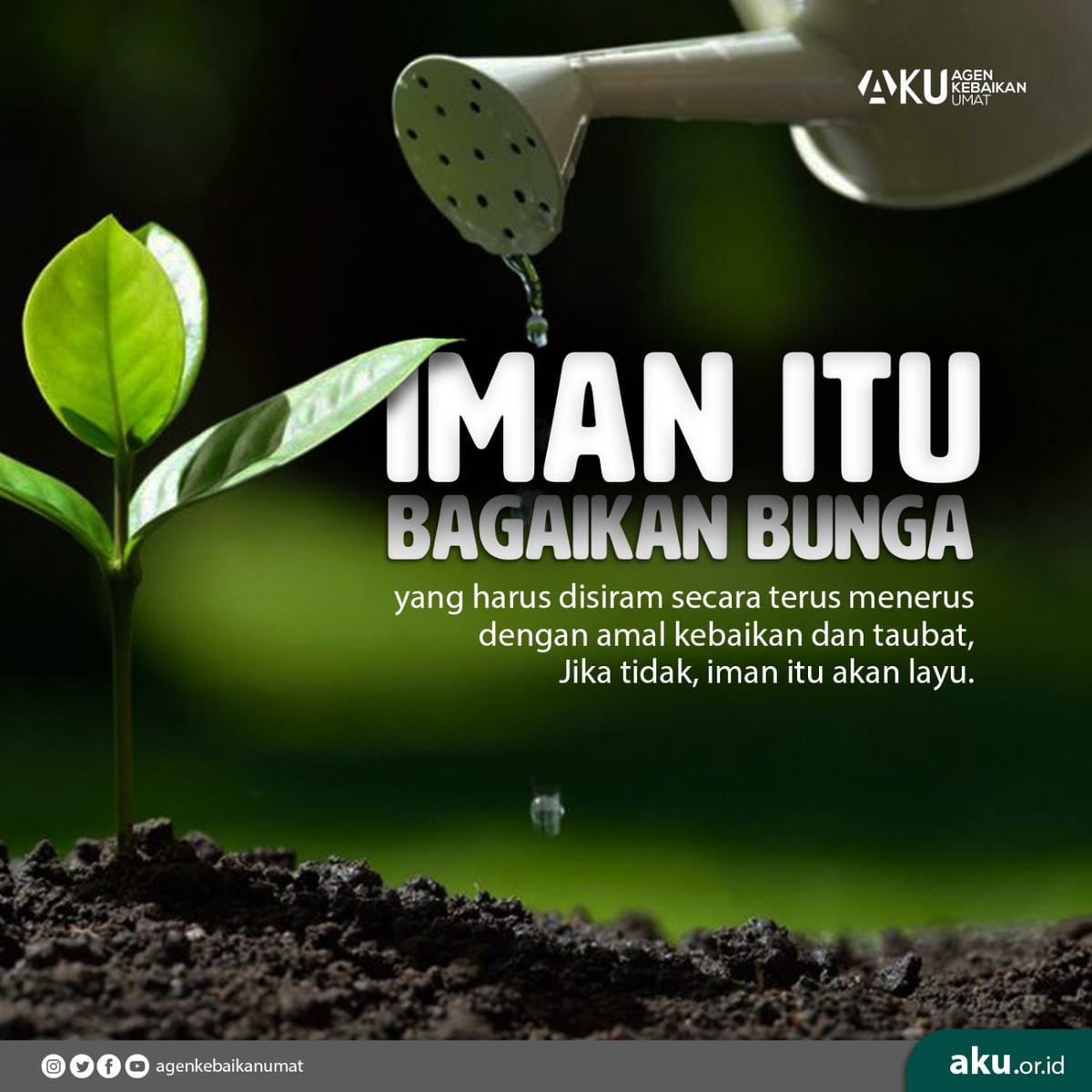 IMAN ITU BAGAIKAN BUNGA YANG HARUS DISIRAM