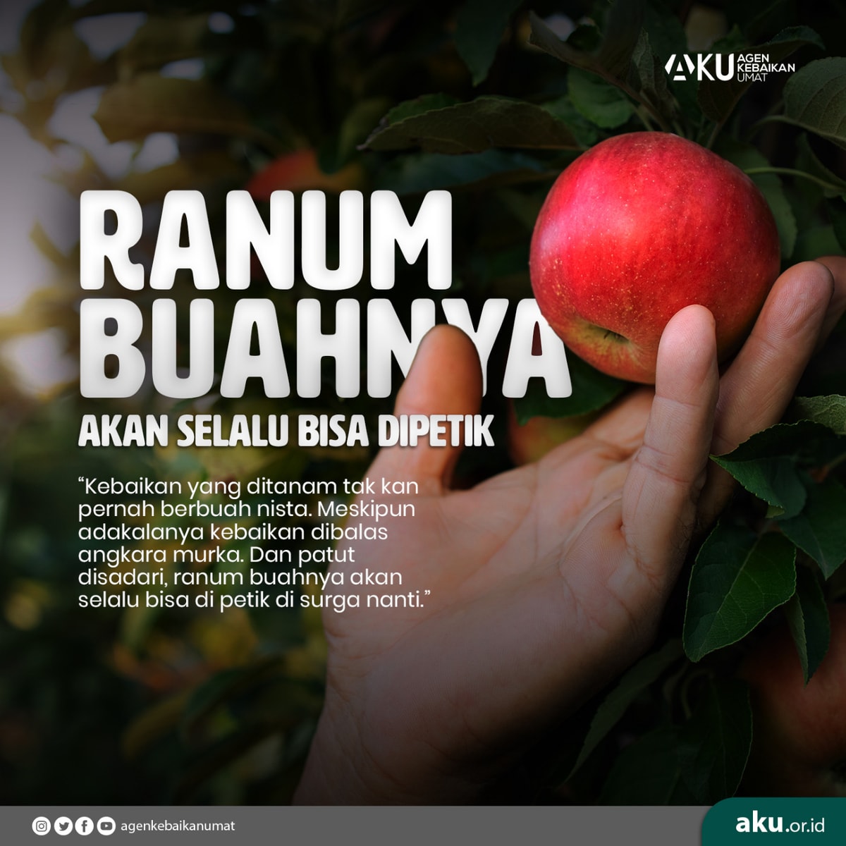 Ranum Buahnya Akan Selalu Bisa Dipetik