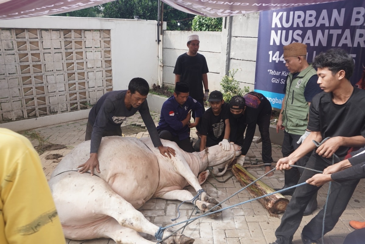 Distribusi Manfaat Capai 2.497 Orang, Kurban Baik 1446 H Sukses Digelar Hingga Pulau Rote