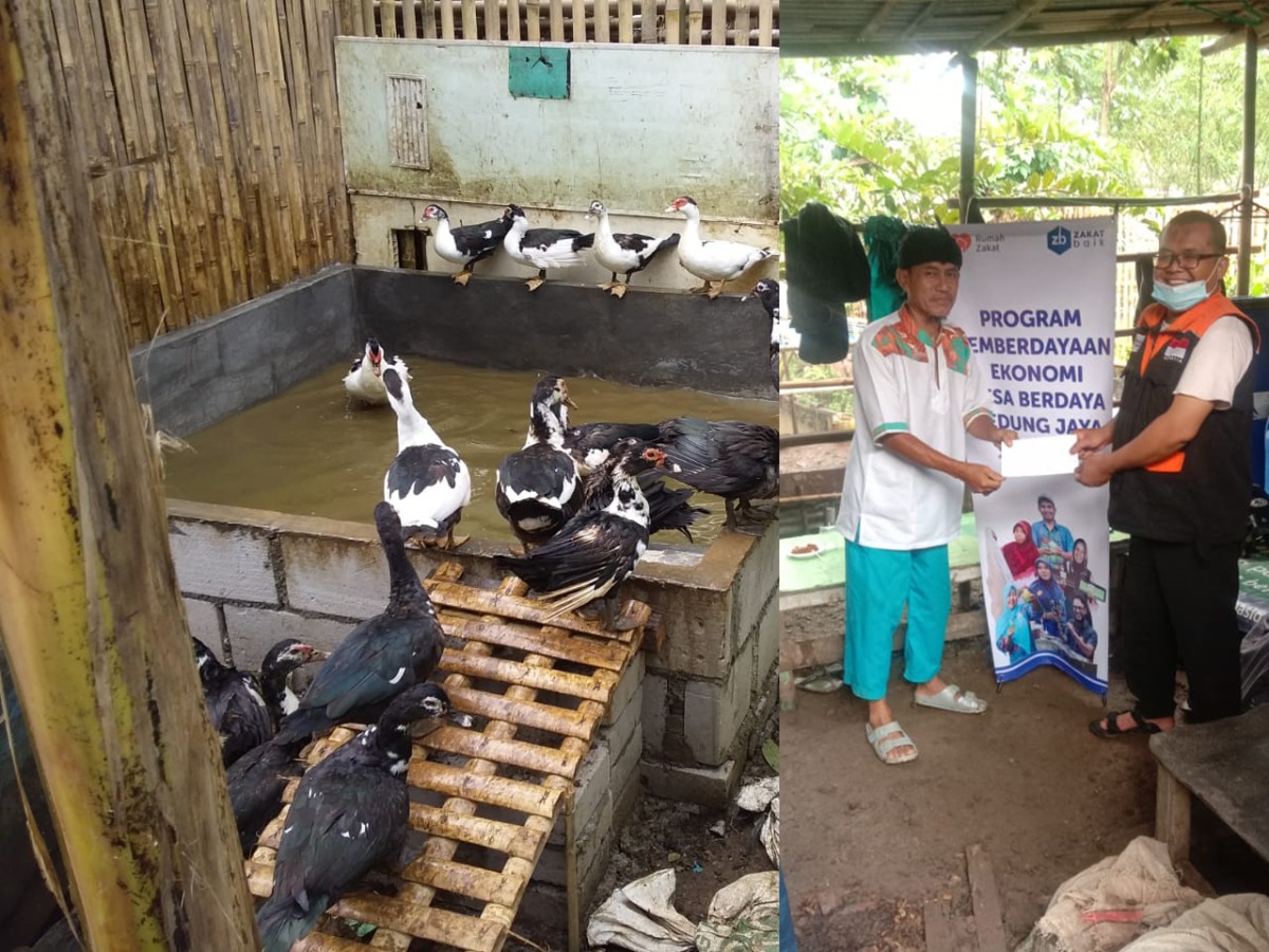 Zakat Baik  dan Rumah Zakat salurkan bantuan modal usaha dan bantuan penunjang usaha Tahap 2 ke kelompok ternak di Kedungjaya