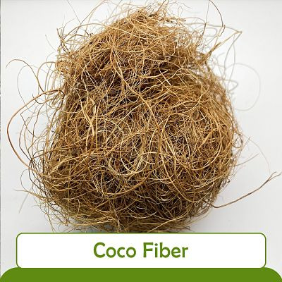 Coco Fiber