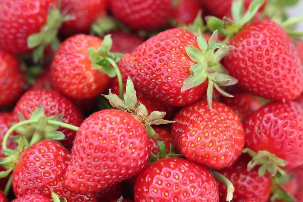 Strawberry langka di  pasaran saat musim  hujan 
