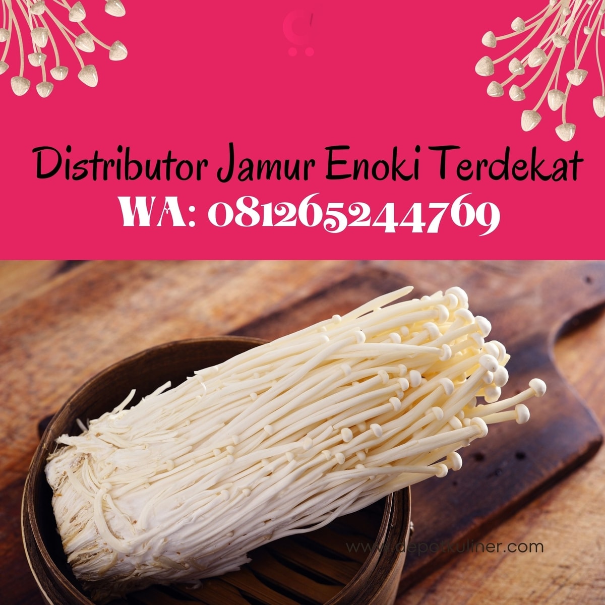 HARGA RESELLER, (0812.6524.4769) Distributor Jamur Enoki Terdekat