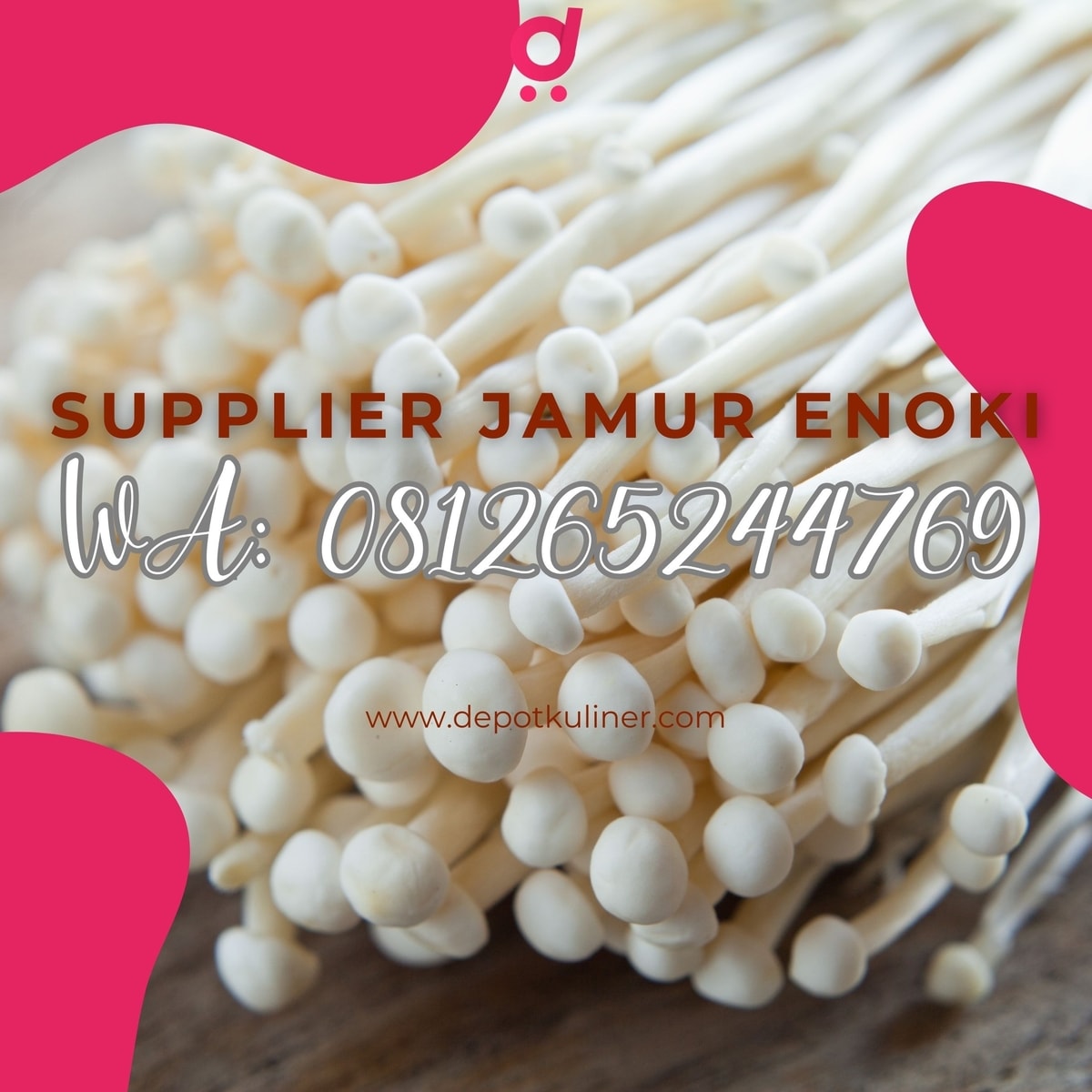 HARGA GROSIR, (0812.6524.4769) Supplier Jamur Enoki: Depot Kuliner Medan