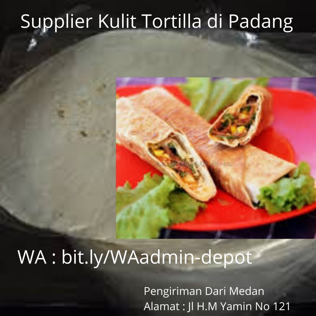 Sedia Kulit Tortilla di Padang Toko dari Medan