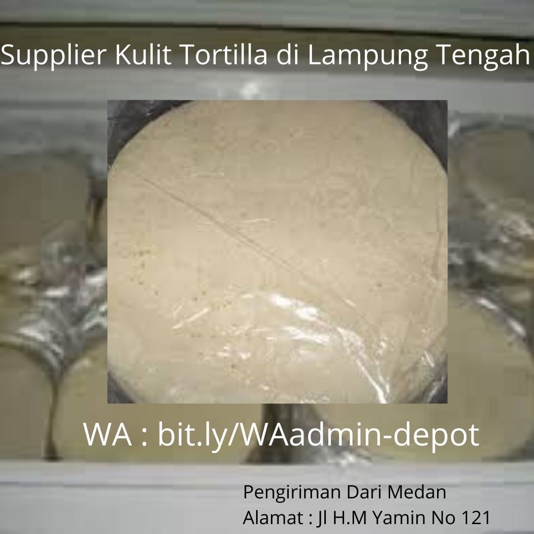 Distributor Kulit Tortilla di Lampung Tengah Shipping from Medan