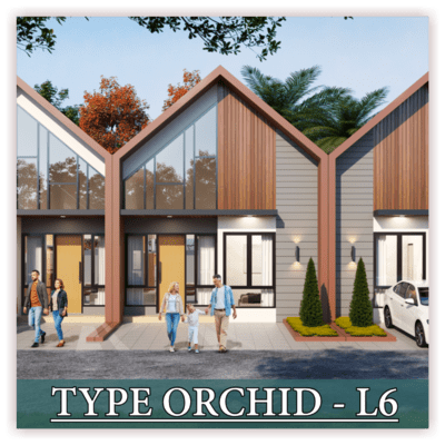 Tipe Orchid - L6