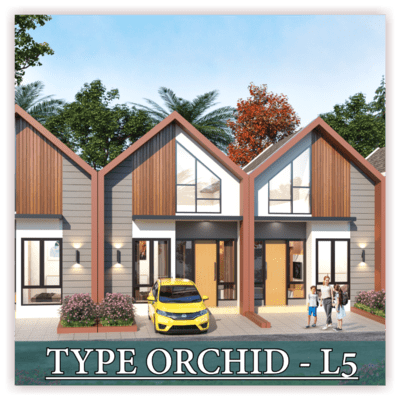 Tipe Orchid - L5