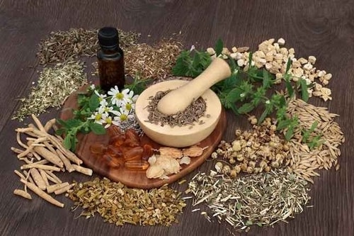 Saatnya Beralih ke Herbal! Ini Dia 12 Solusi Herbal Yang Ampuh Atasi Sakit Gigi!