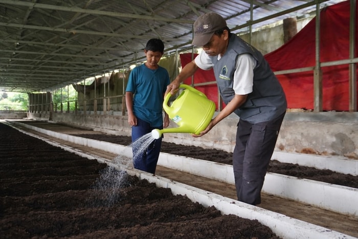 Dari Limbah Jadi Berkah: Program Zakat Produktif Ubah Kotoran Sapi Menjadi Pupuk Bernilai dan Penopang Pesantren