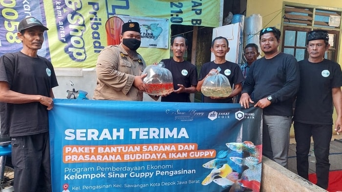 Serah Terima Paket Bantuan Sarana dan Prasarana Budidaya Ikan Guppy