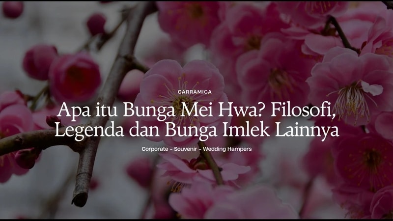 Apa itu Bunga Mei Hwa? Filosofi, Legenda, Perawatan & Cara Menanam