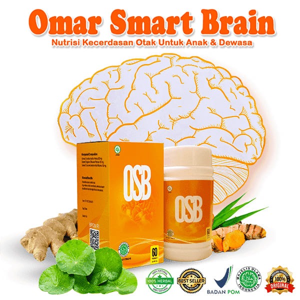 vitamin untuk otak anak