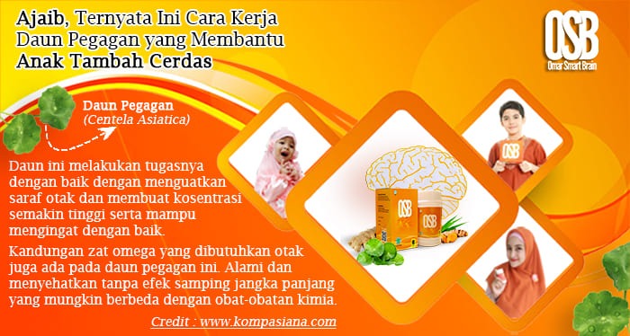 vitamin yang bagus untuk otak anak