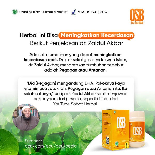 osb vitamin otak